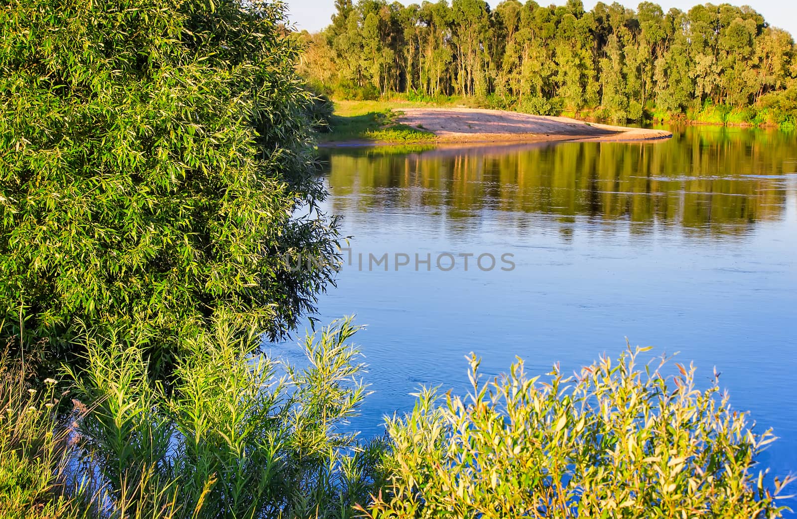 The landscape is quiet calm of the river, which reflects the bushes and trees growing along its banks.