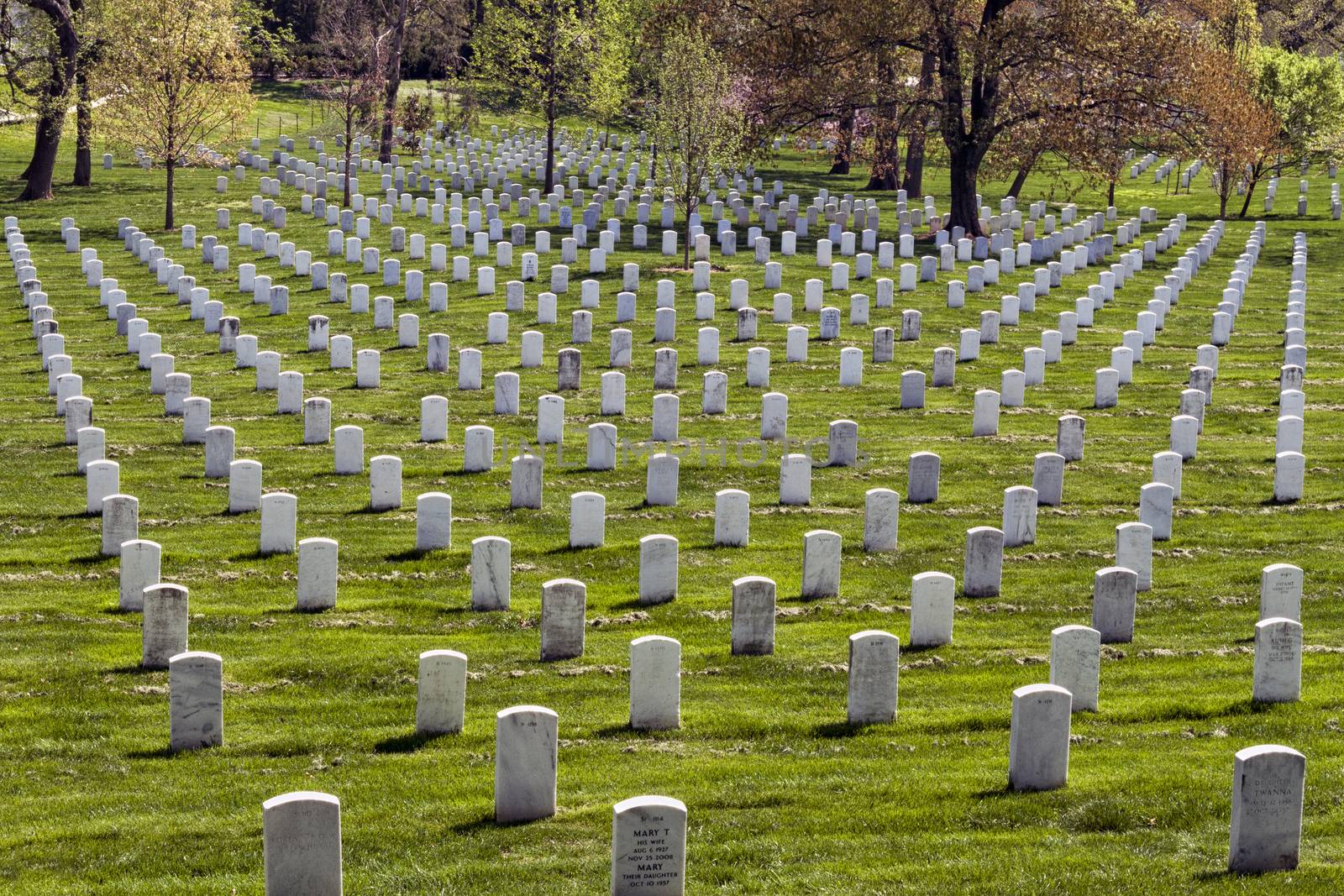 Headstones at the Arlington National Cemetery in Virginia, USA