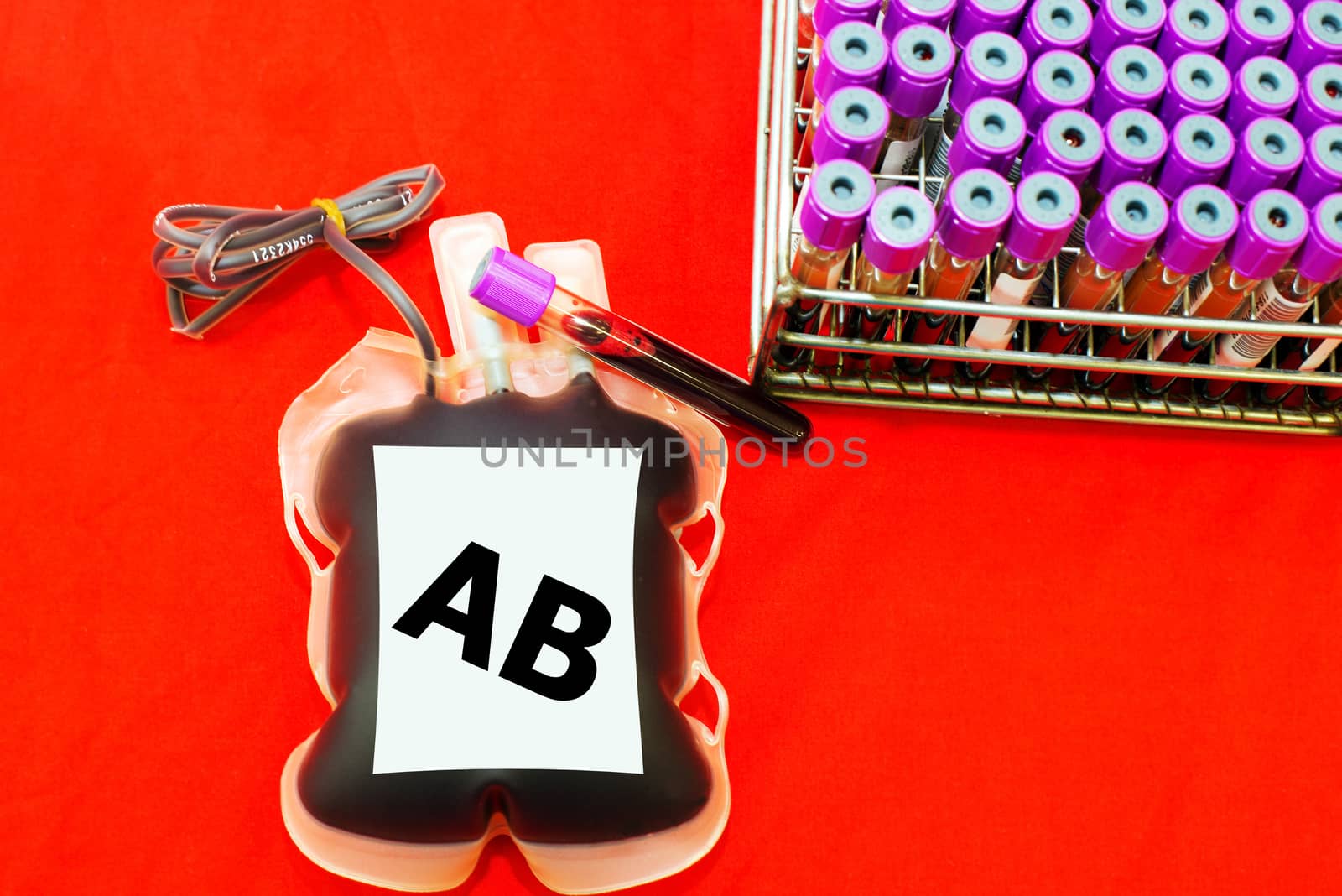 Close up bag of blood and plasma and rubber tube isolated on Red background