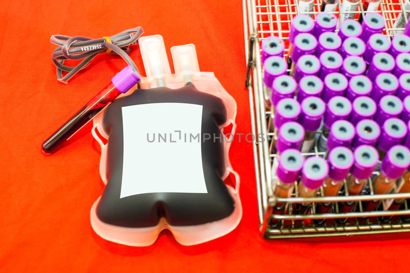 Close up bag of blood and plasma and rubber tube isolated on Red background