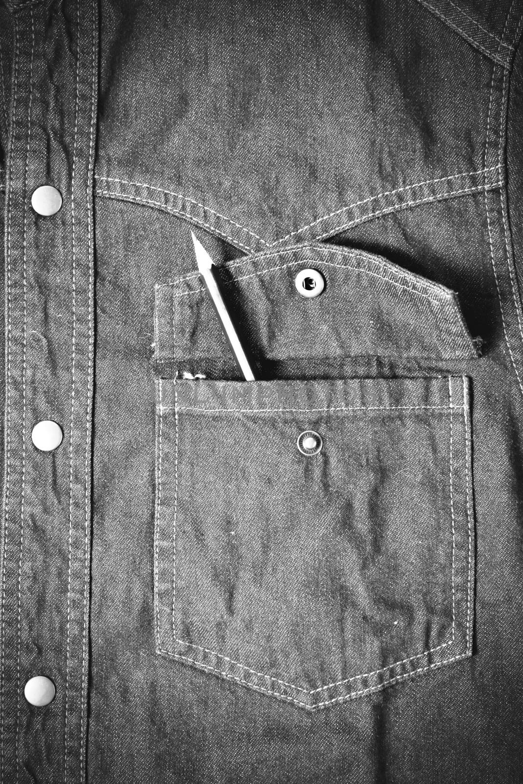 pencil in jean pocket black and white tone color style