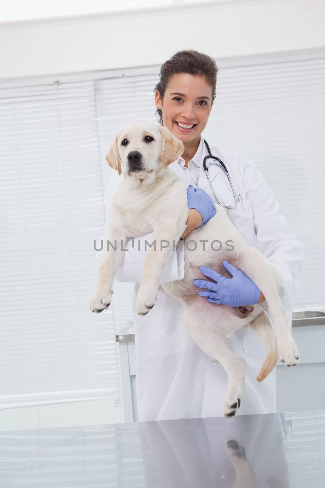 Smiling veterinarian with a cute dog in her arms in medical office