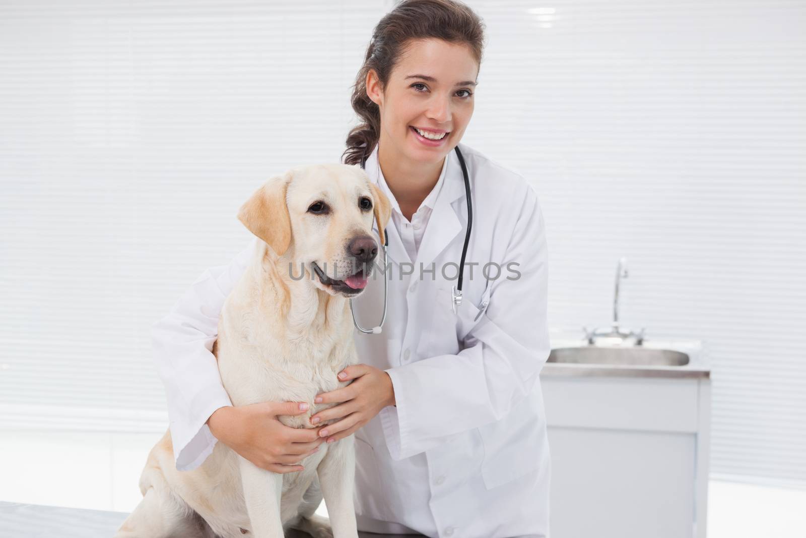 Happy veterinarian examining a cute dog by Wavebreakmedia