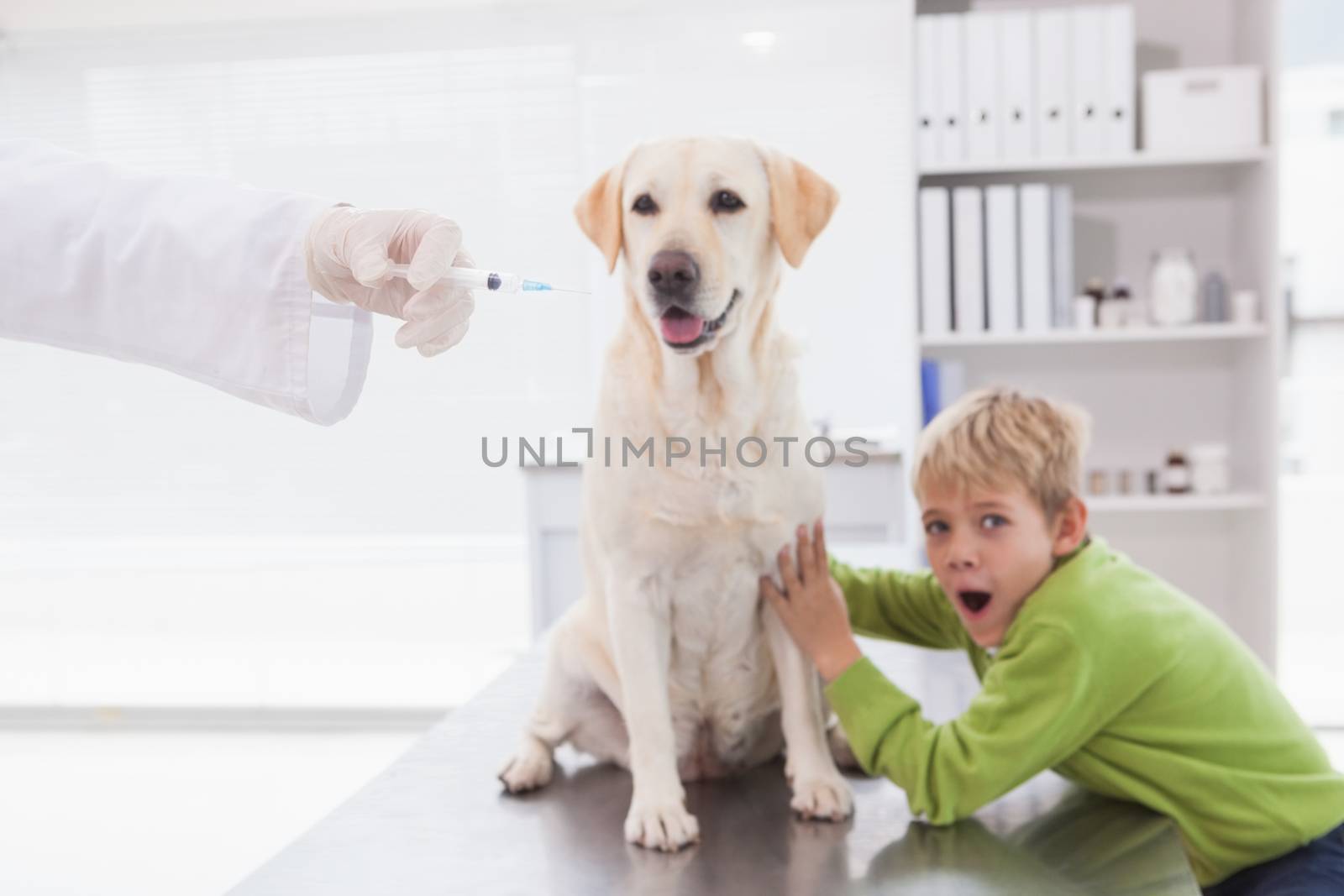 Vet examining a dog with its scared owner by Wavebreakmedia