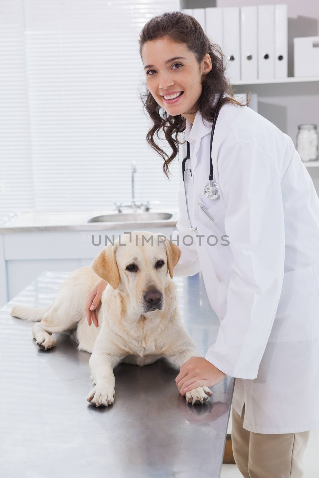 Smiling vet examining a dog  by Wavebreakmedia