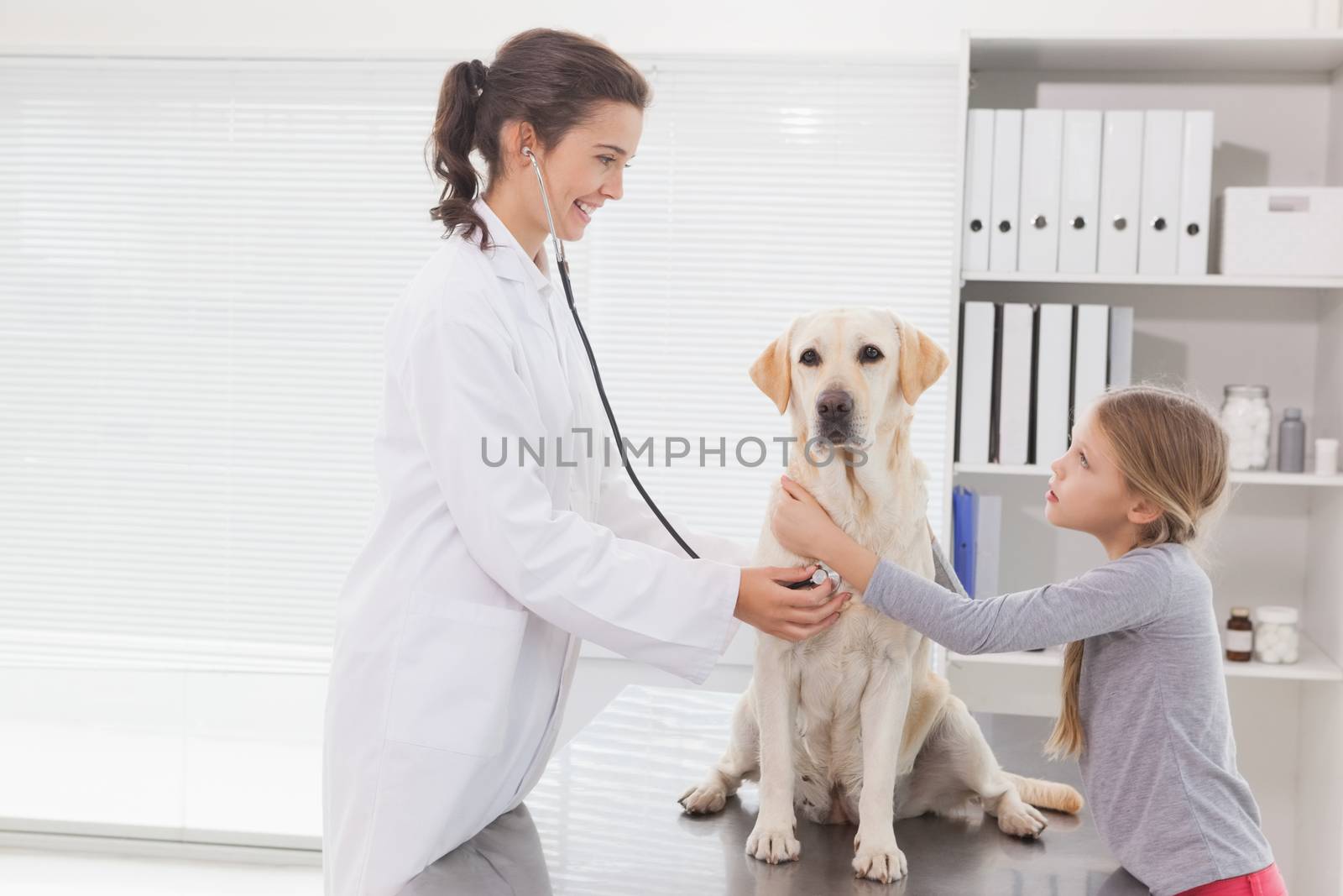 Vet examining a dog with its owner in medical office