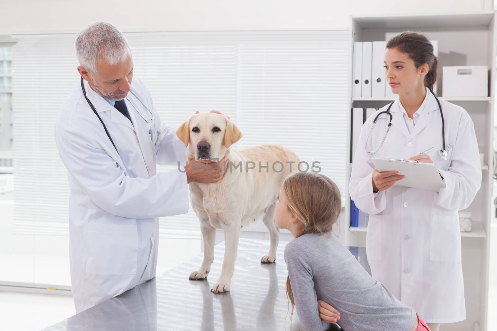 Vet coworker examining a dog with its owner in medical office