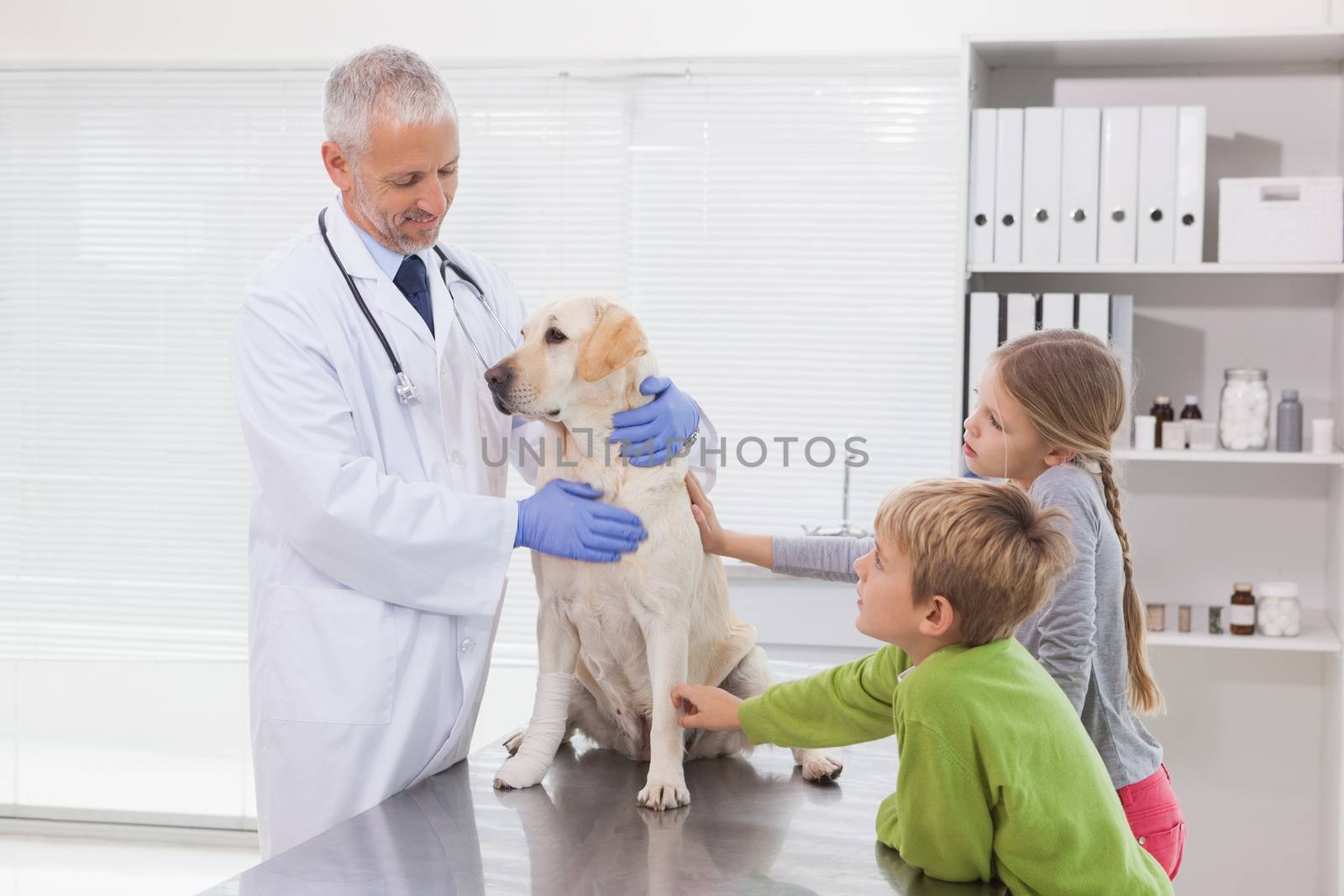 Vet examining a dog with its owners in medical office 