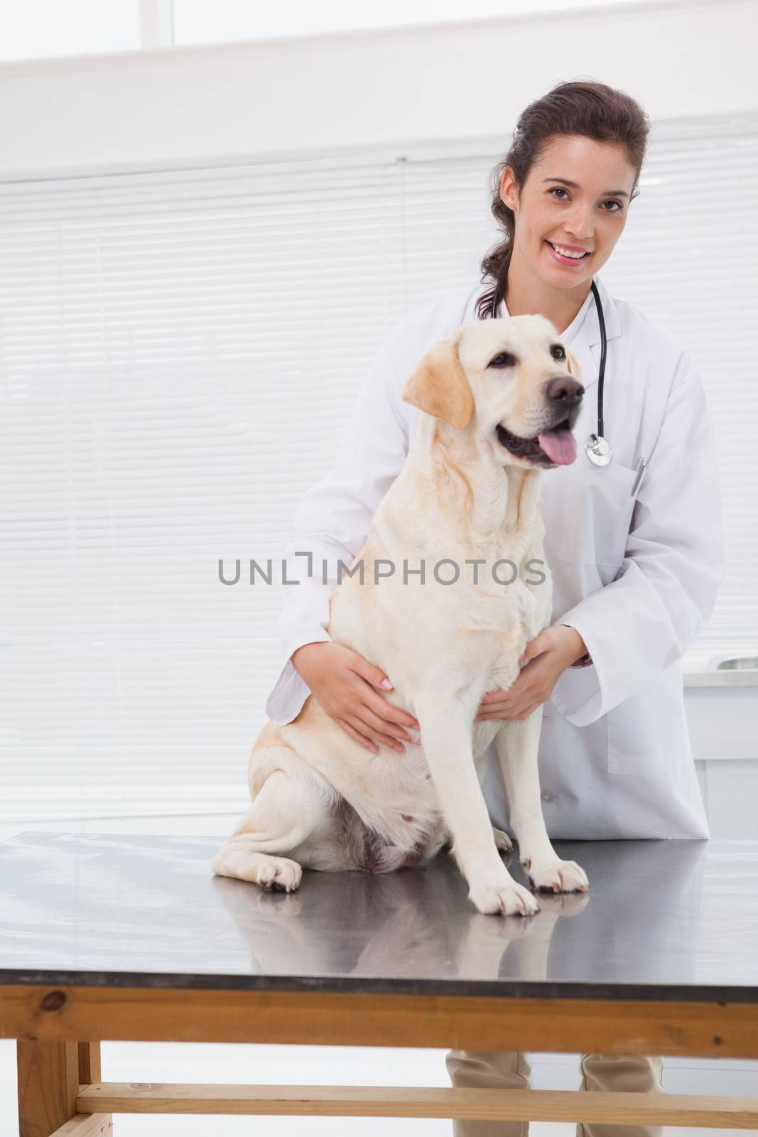 Happy veterinarian examining a cute dog in medical office