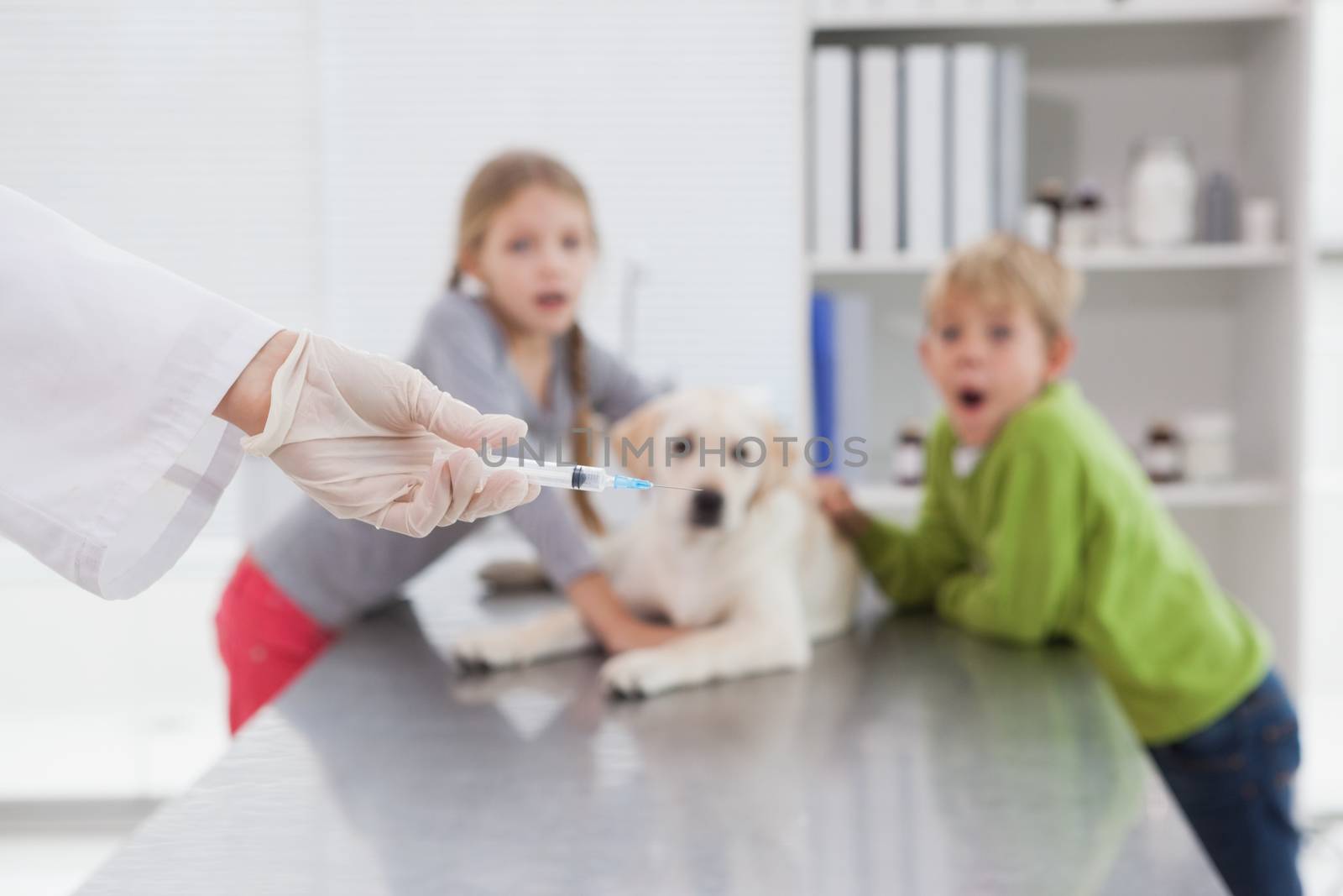 Vet using syringe for a dog in front of its scared owners in medical office