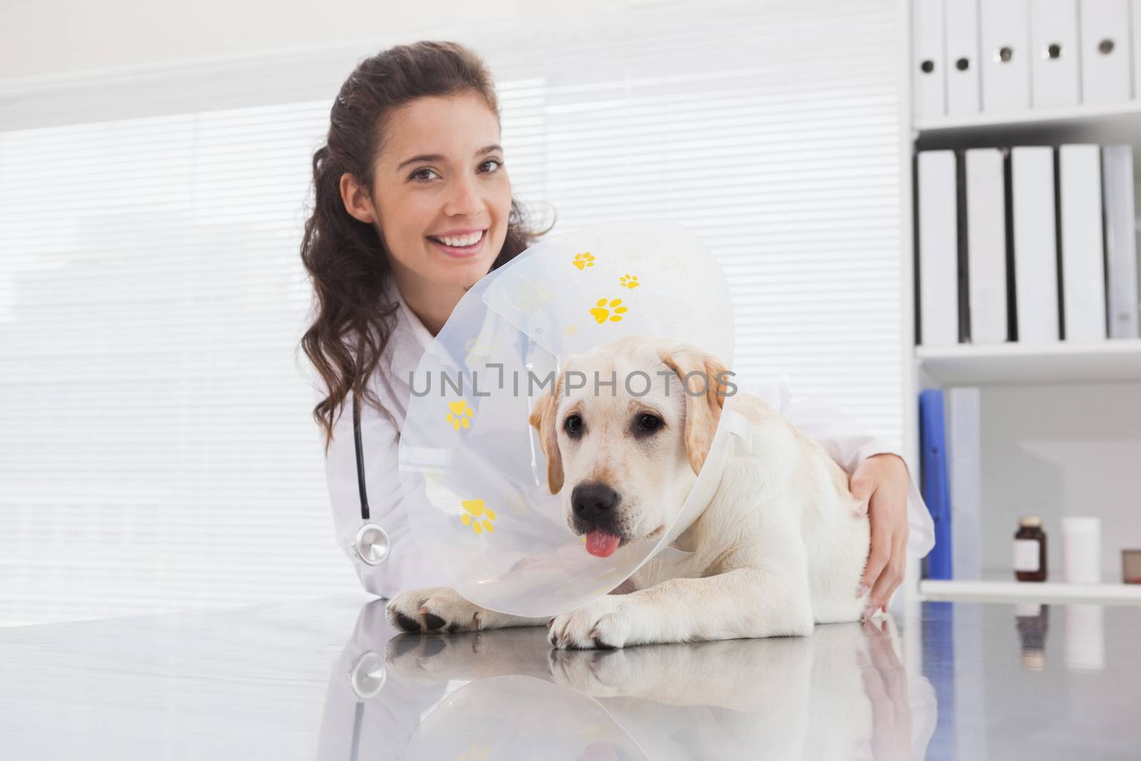 Smiling vet and dog with a cone in medical room