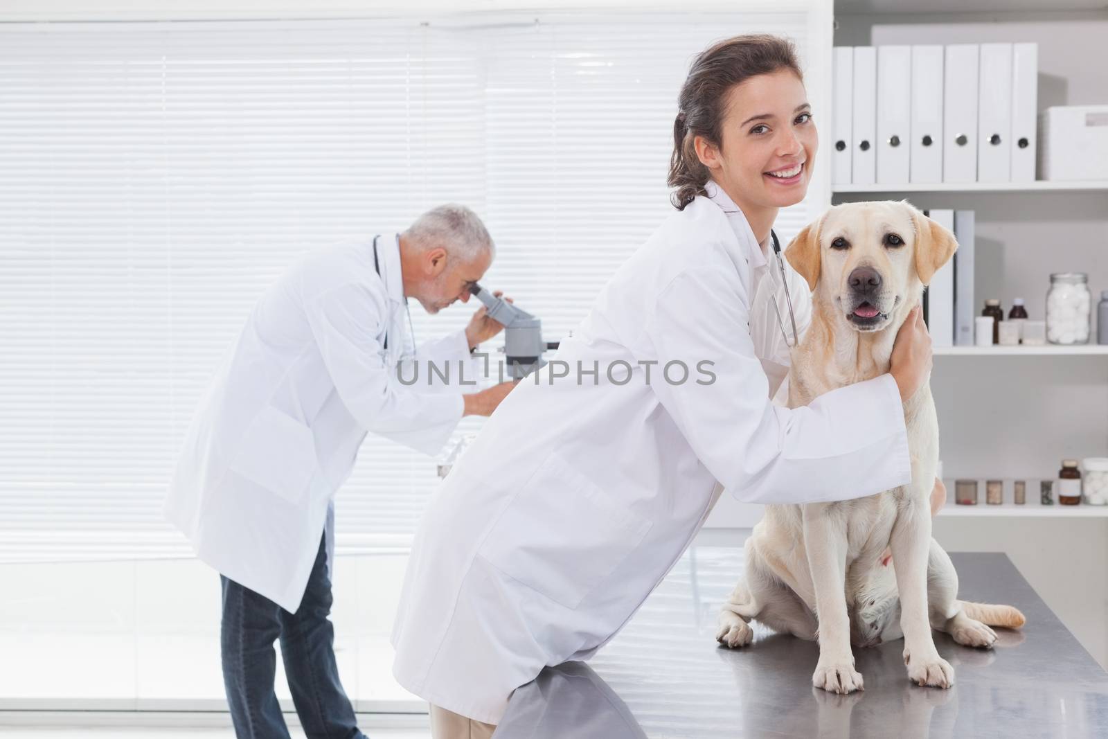 Vet coworker examining a cute dog by Wavebreakmedia