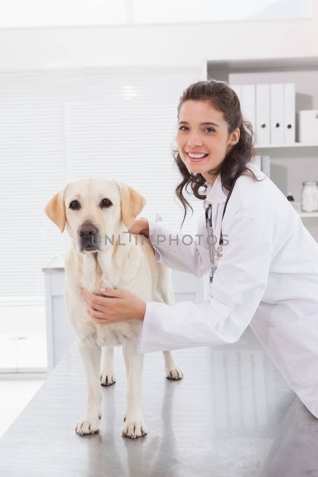 Happy vet examining a cute dog  by Wavebreakmedia