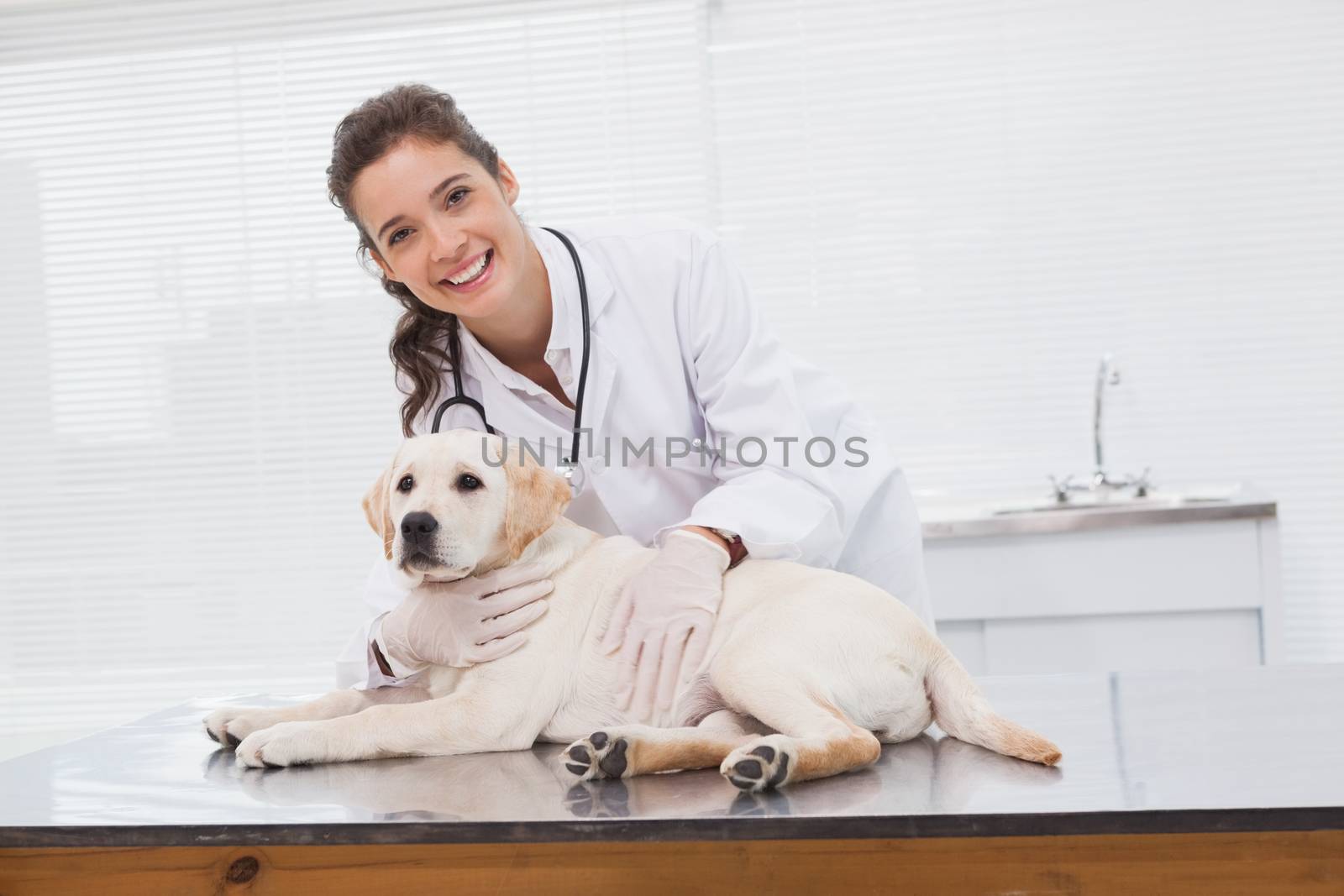 Happy veterinarian examining a cute dog in medical office