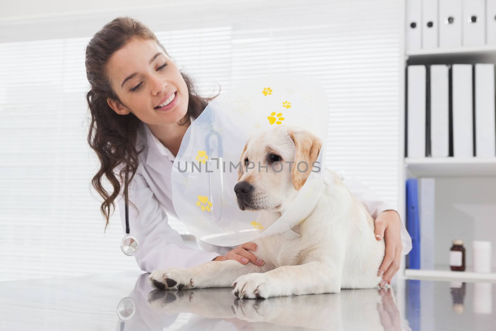 Smiling vet and dog with a cone in medical room