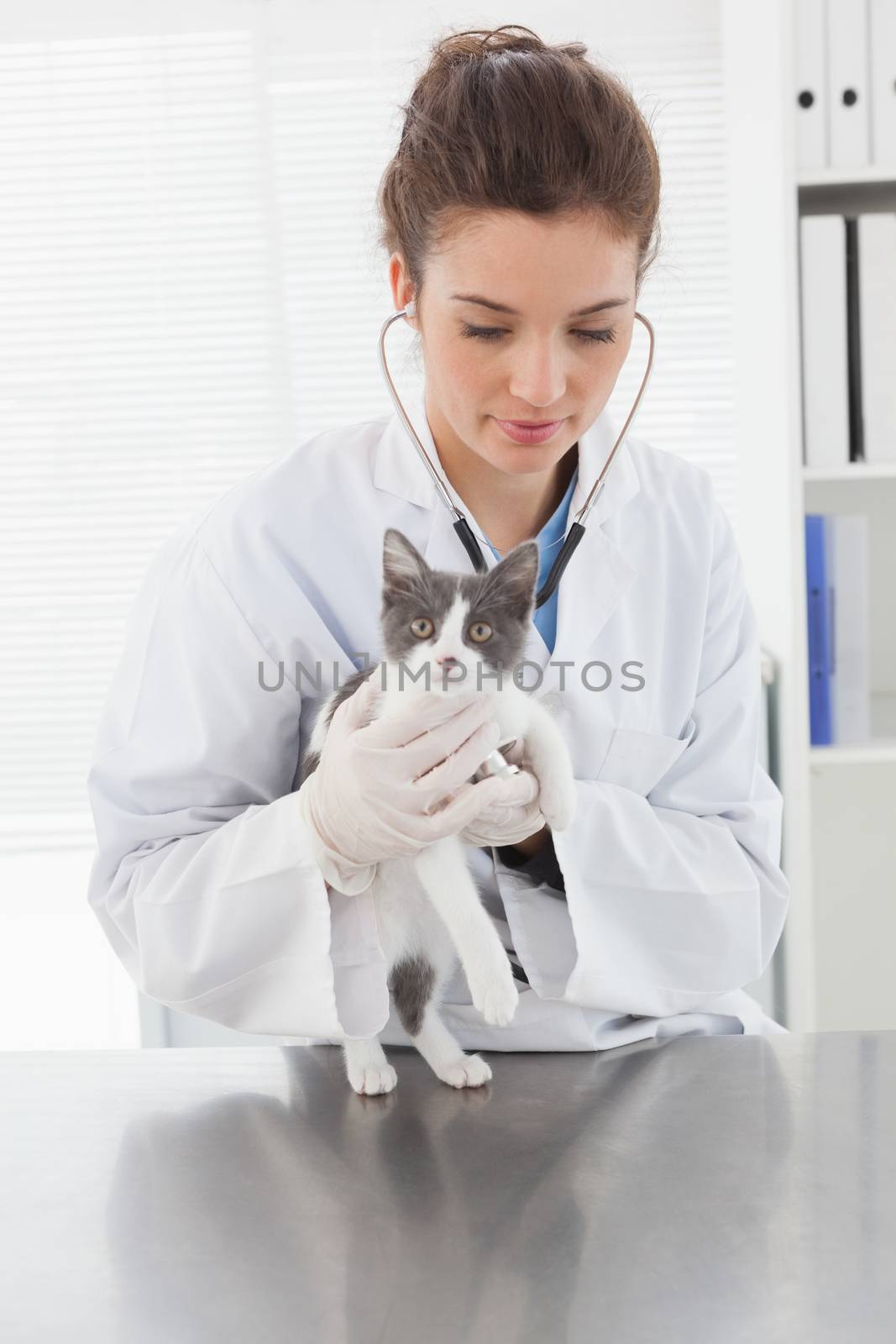 Vet examining a cut kitten with stethoscope  by Wavebreakmedia