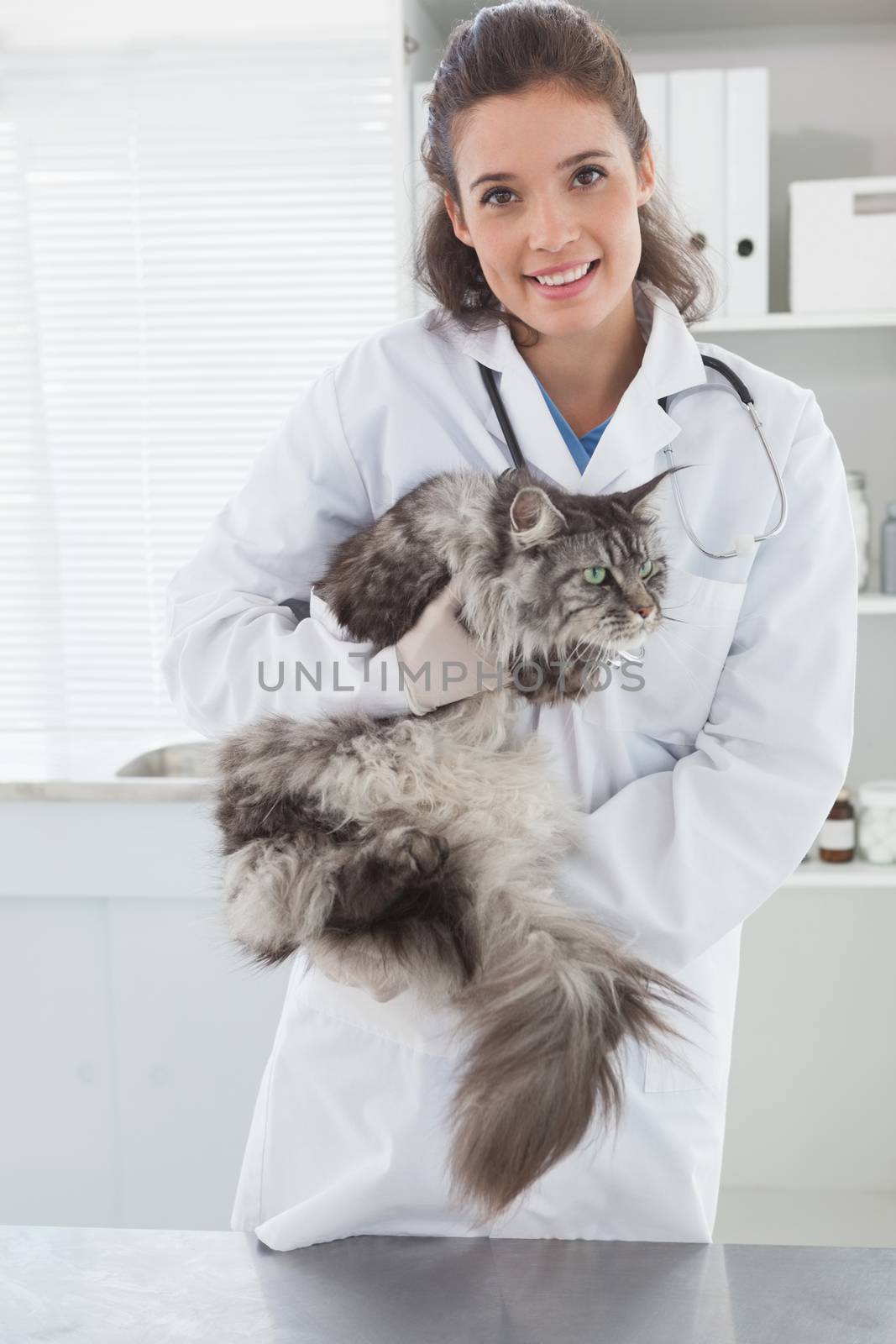 Smiling vet with a maine coon in her arms in medical office