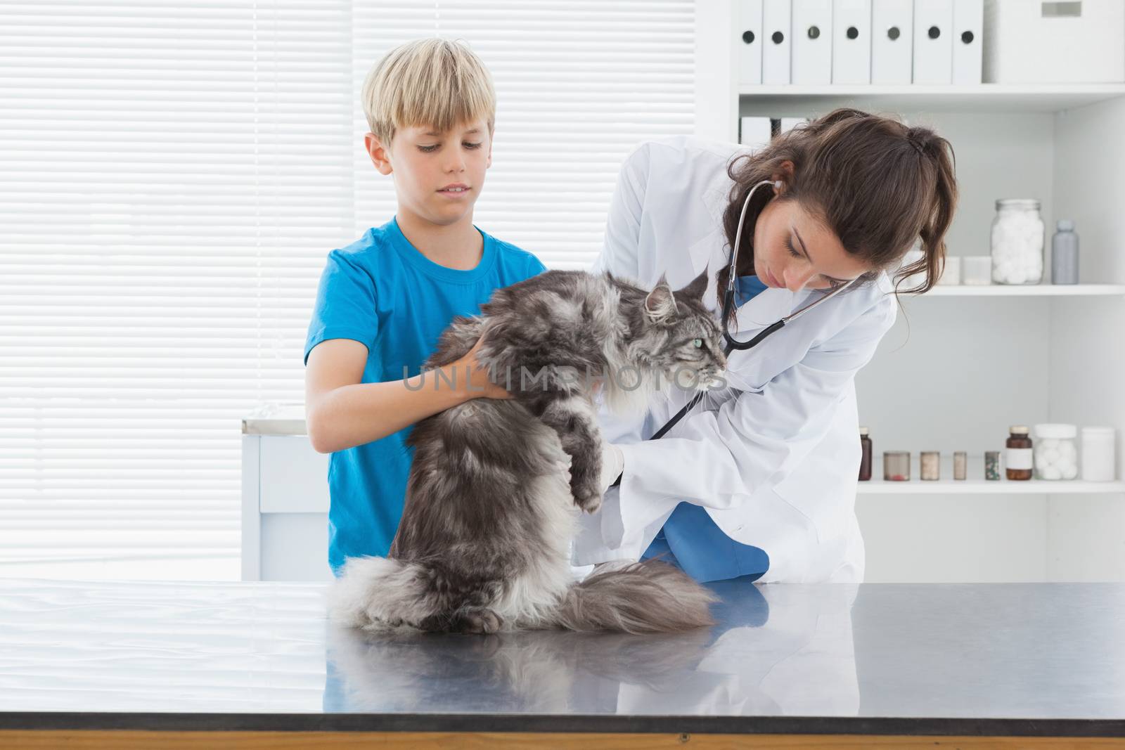 Vet examining a cat with its owner  by Wavebreakmedia
