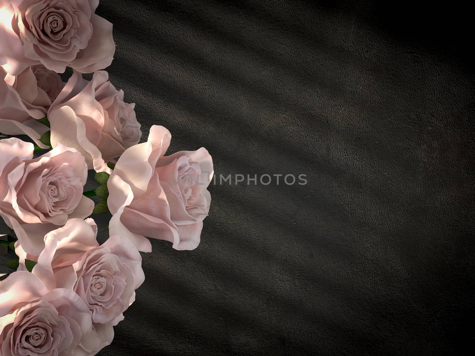 white roses on ancient concrete wall decorative concept background
