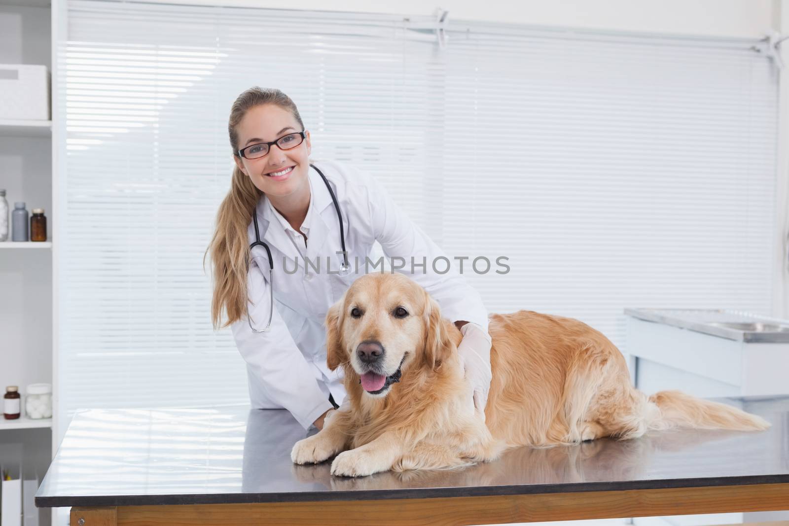 Smiling vet examining a Labrador in her office