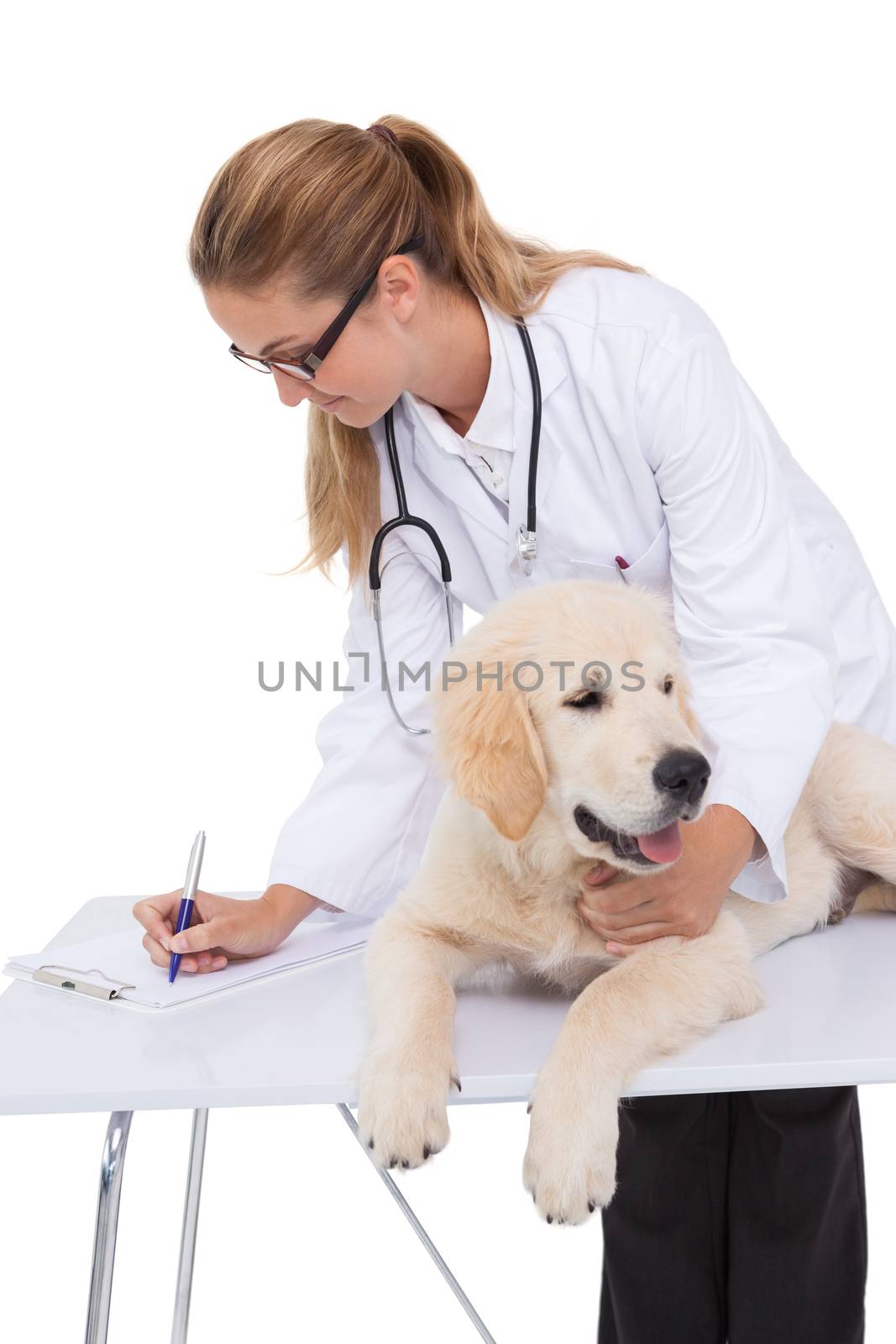 Smiling vet checking a puppy  by Wavebreakmedia