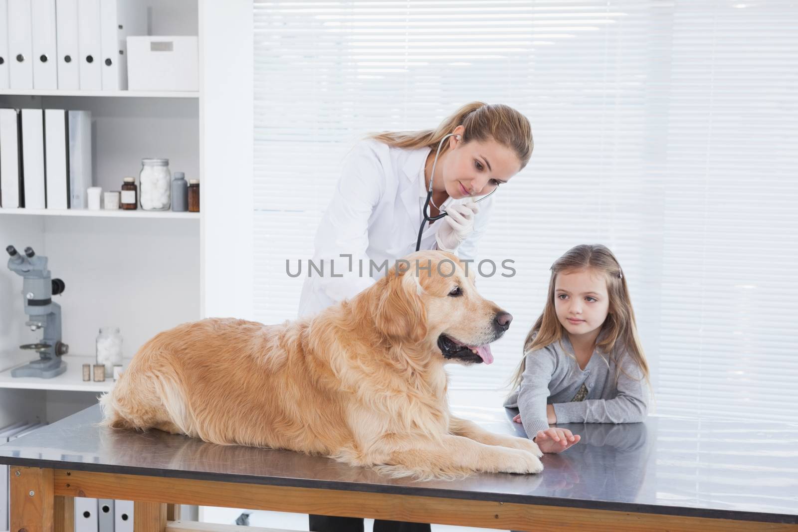 Happy vet checking a labrador with its owner