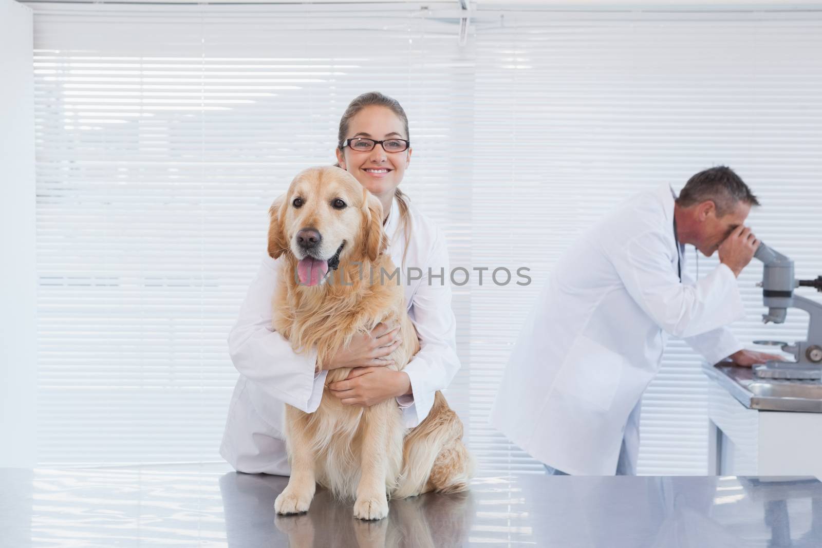 Smiling doctor holding a labrador by Wavebreakmedia