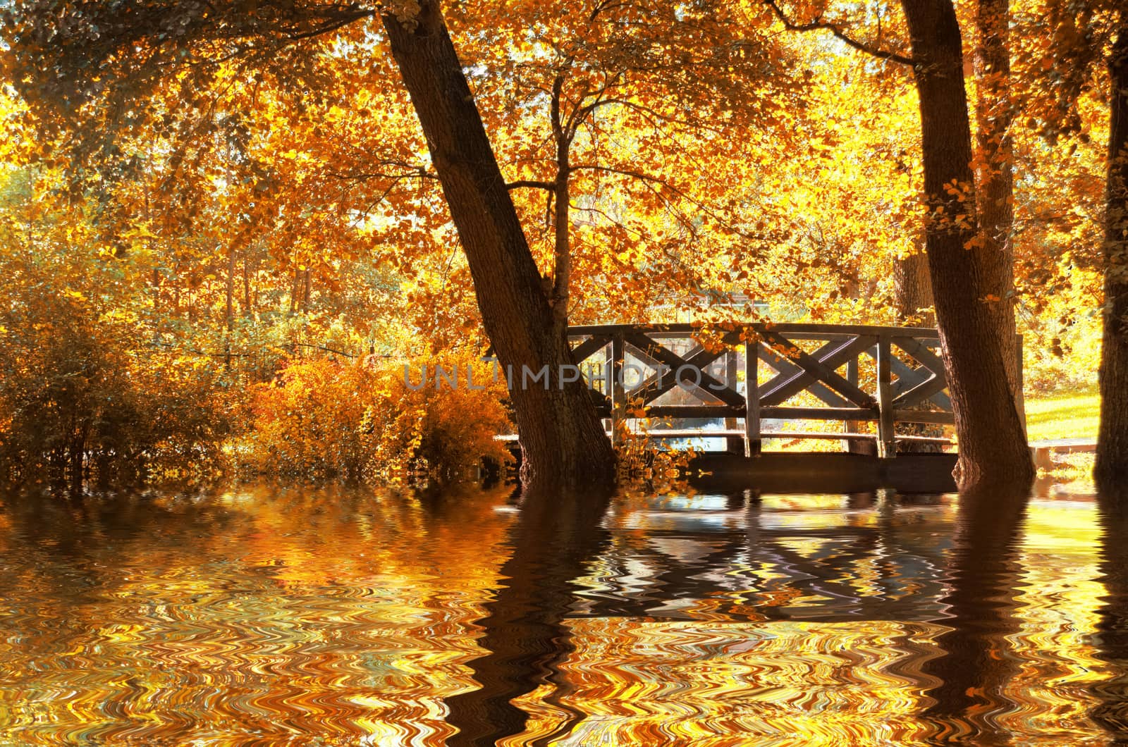 Autumn scenery. Beautiful gold fall in park.