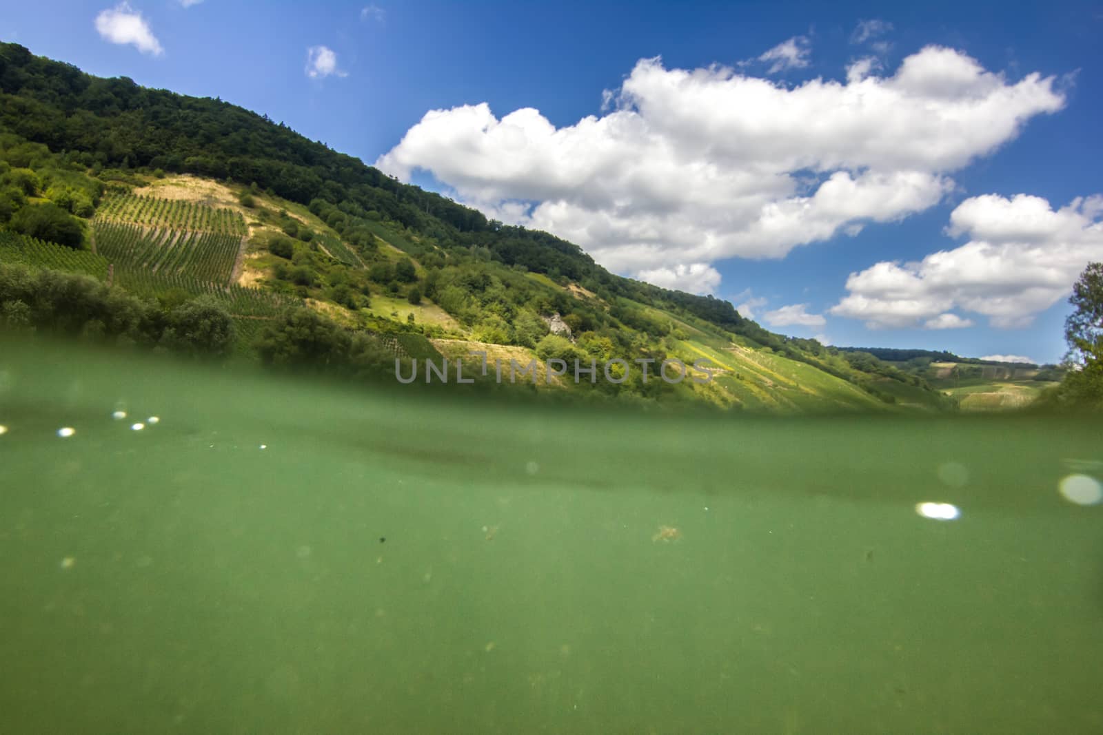 Half submerged picture of the moselle river and its landscape during a summer day.