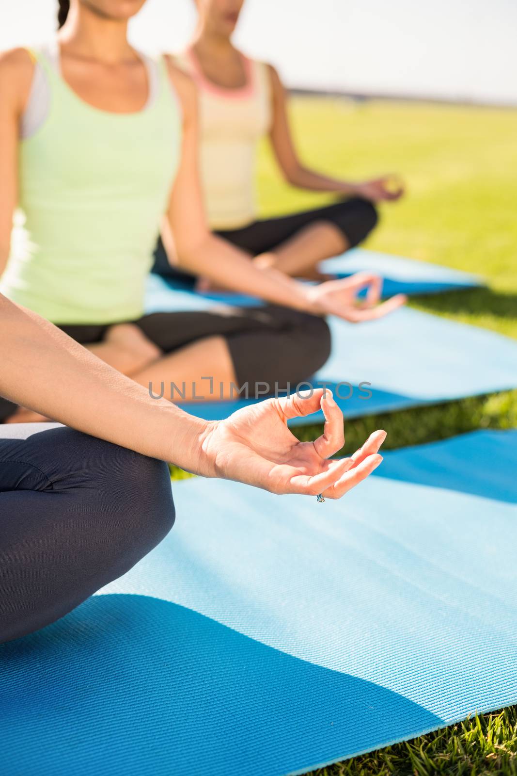 Sporty women meditating on exercise mats in parkland