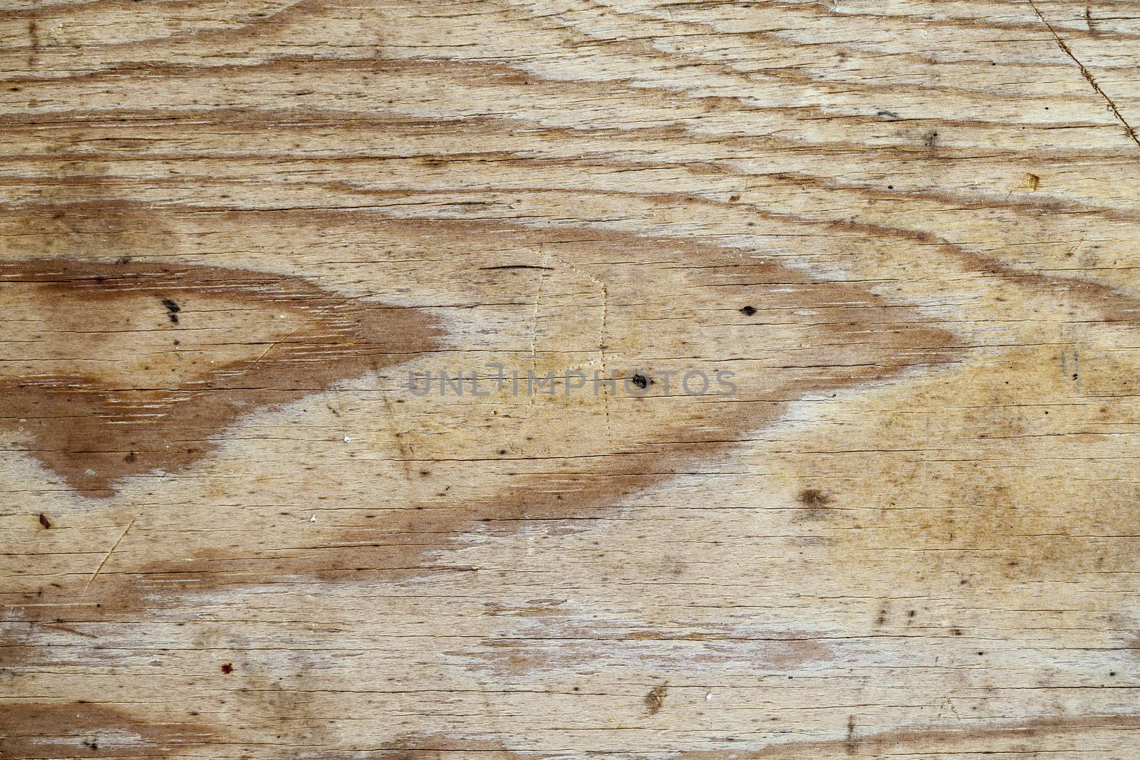 The Texture of grunge wood background. Closeup