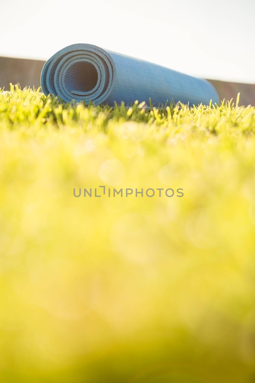 Exercise mat lying on the grass at promenade
