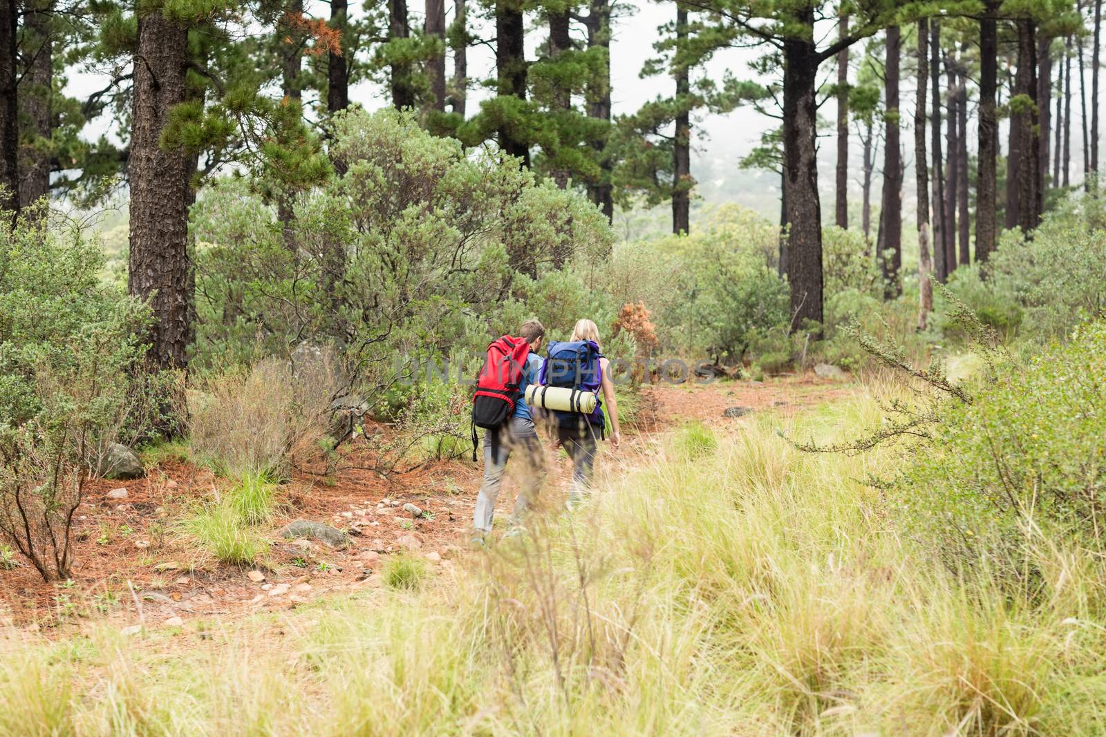 Young hiker couple hiking  by Wavebreakmedia