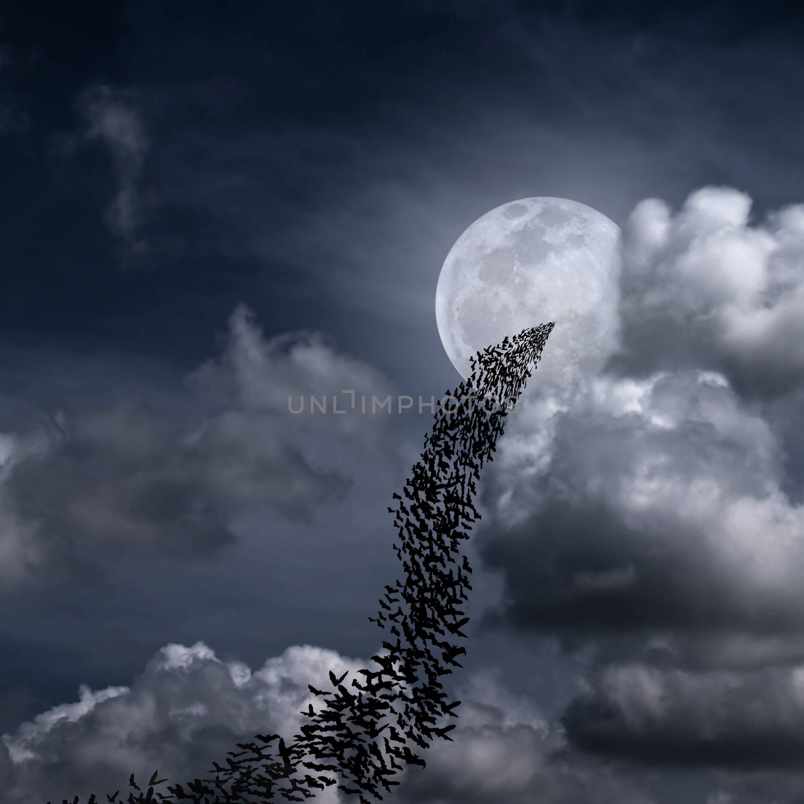 Bats and full moon  by Exsodus
