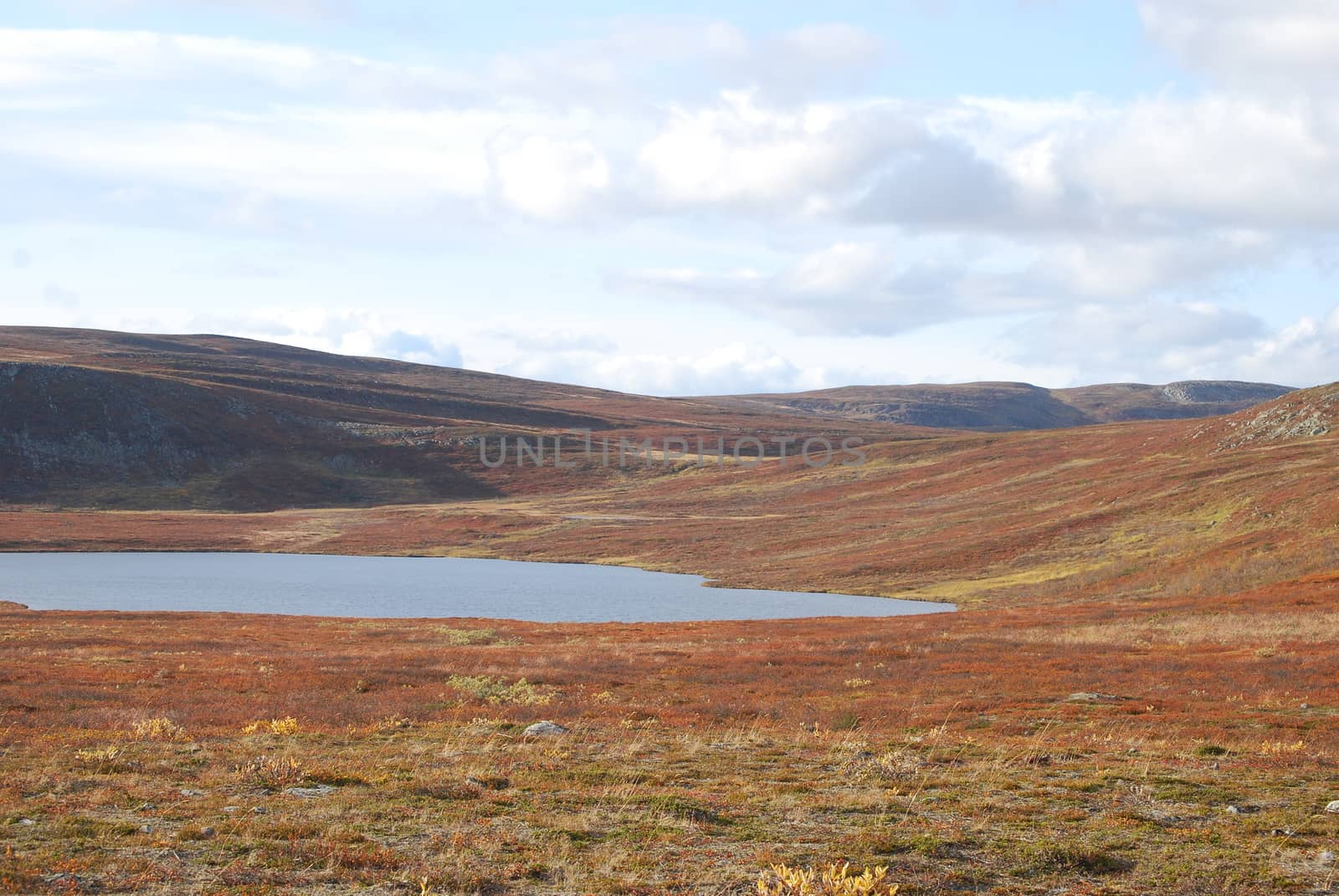 Lake in Norway