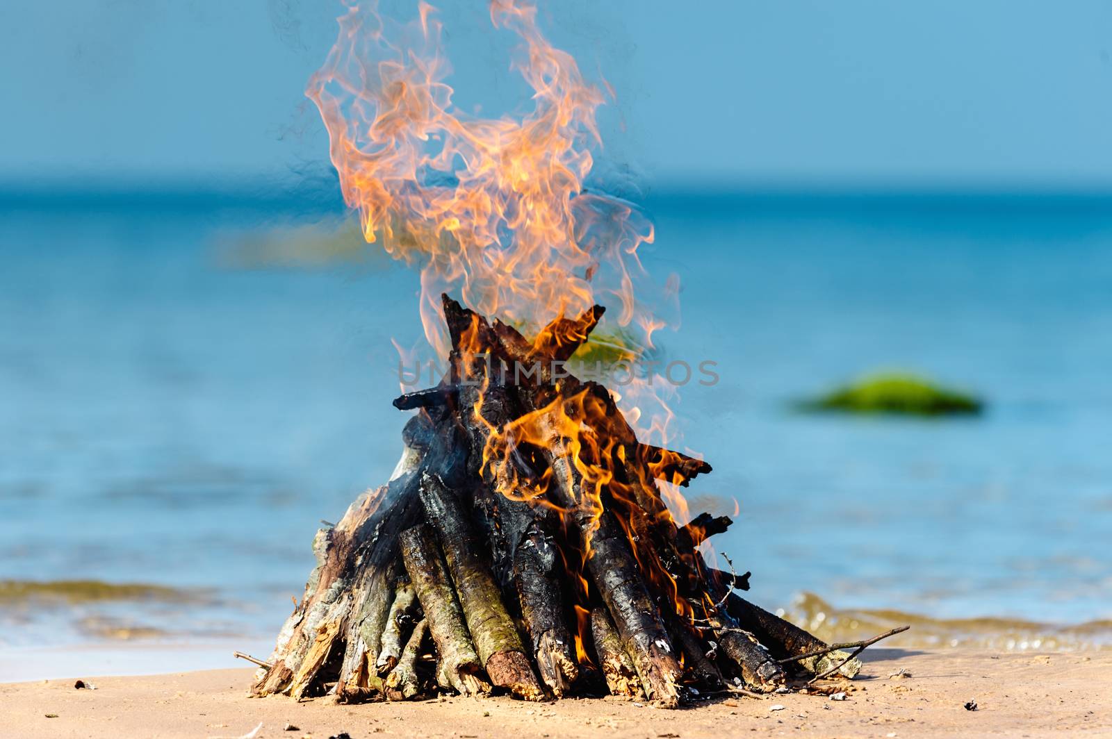 Burning firewood on the seashore