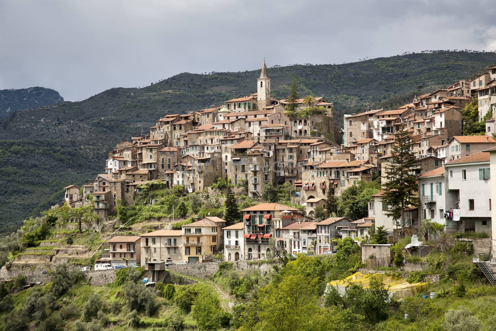 typical village of ligurian countryside, called apricale