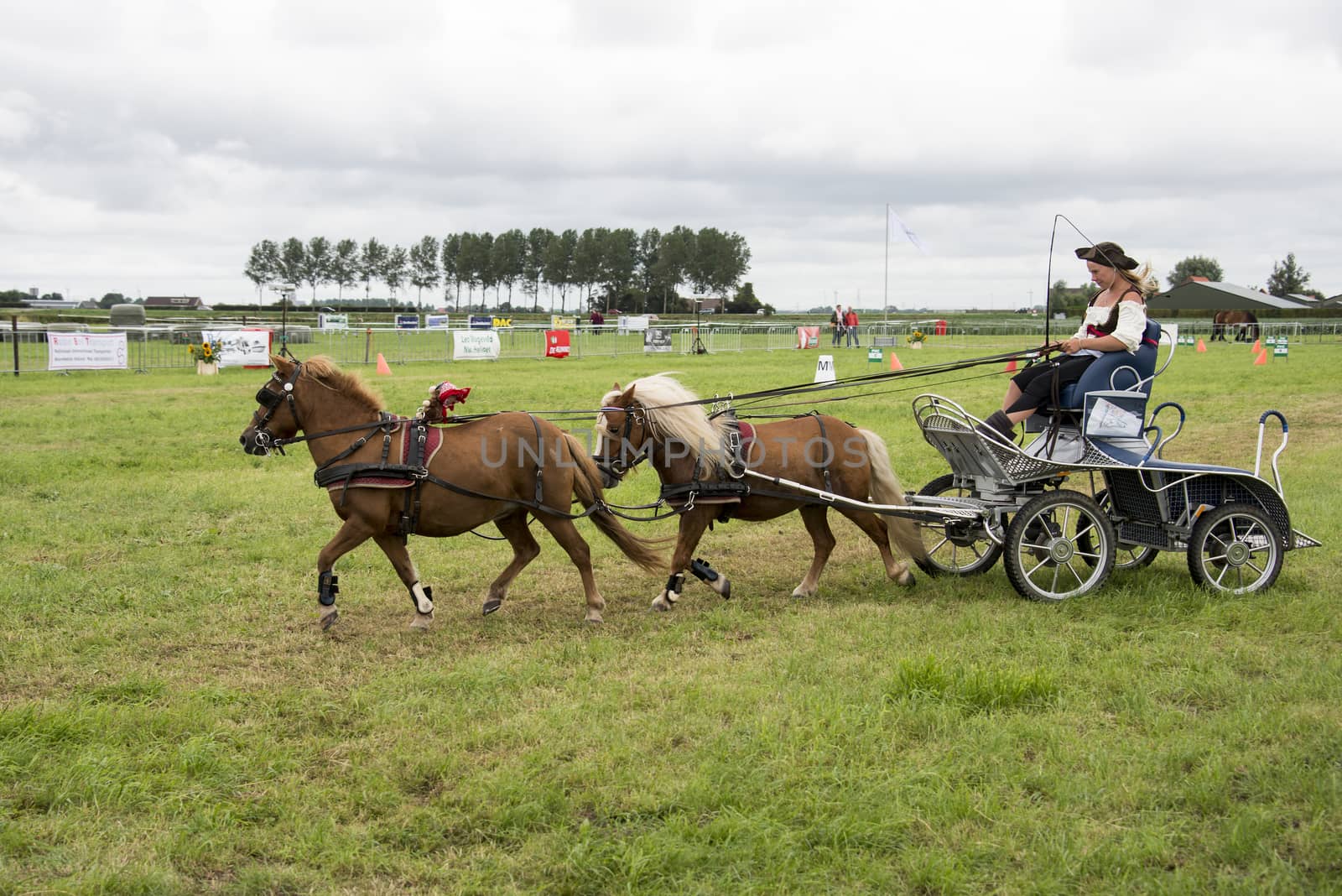 ROCKANJE, NETHERLANDS - AUGUST 18, 2015: Unknown girl participate in the power horse competition in Rockanje on August 18 2015. This competition is for international points