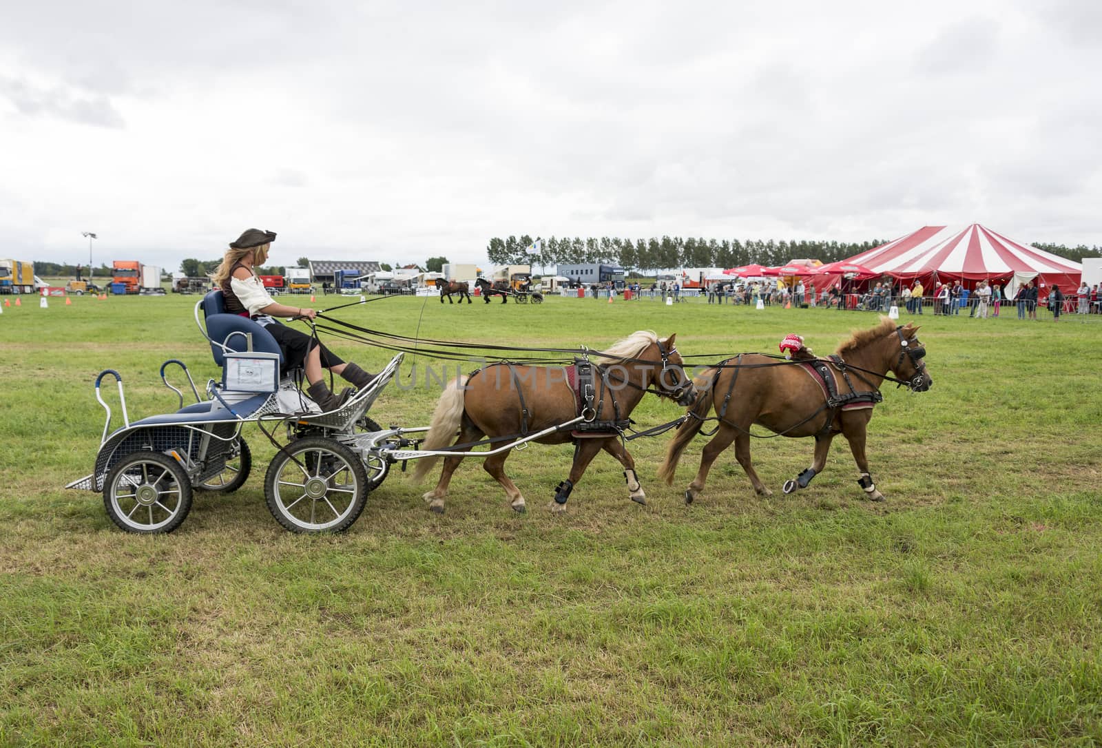 ROCKANJE, NETHERLANDS - AUGUST 18, 2015: Unknown girl participate in the power horse competition in Rockanje on August 18 2015. This competition is for international points