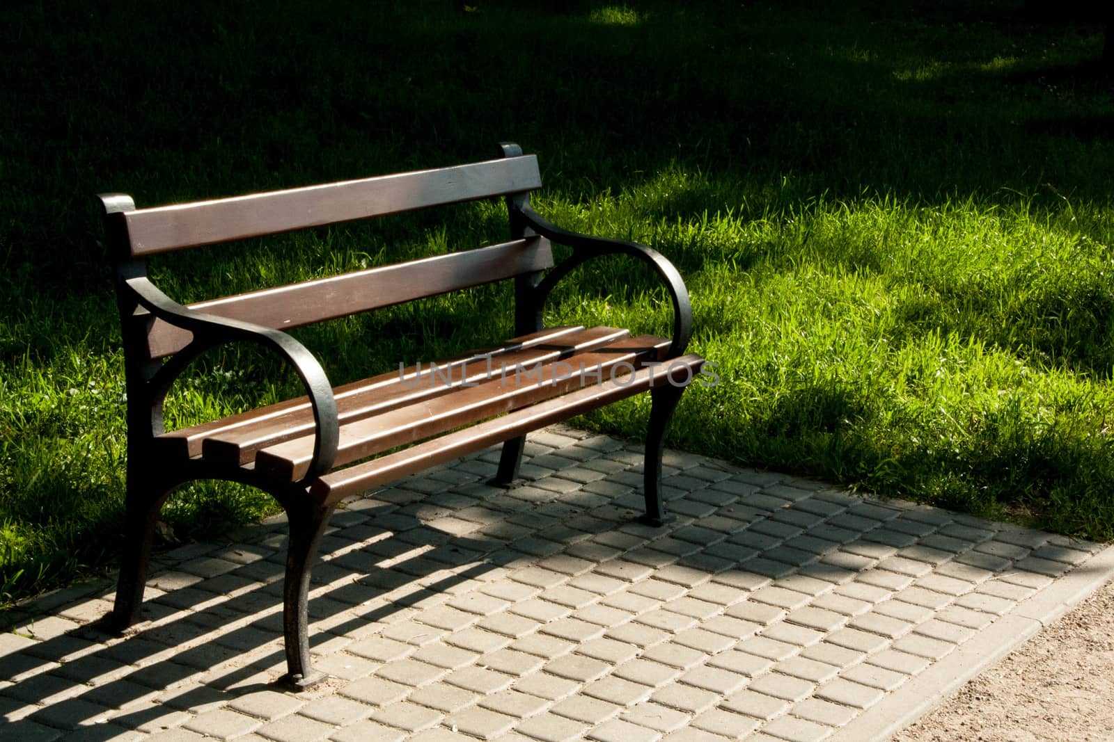 Stylish bench in the Park in Sunny summer day