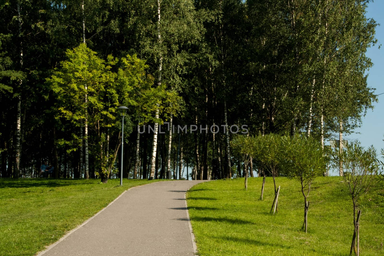 beautiful Russian Park by alexx60