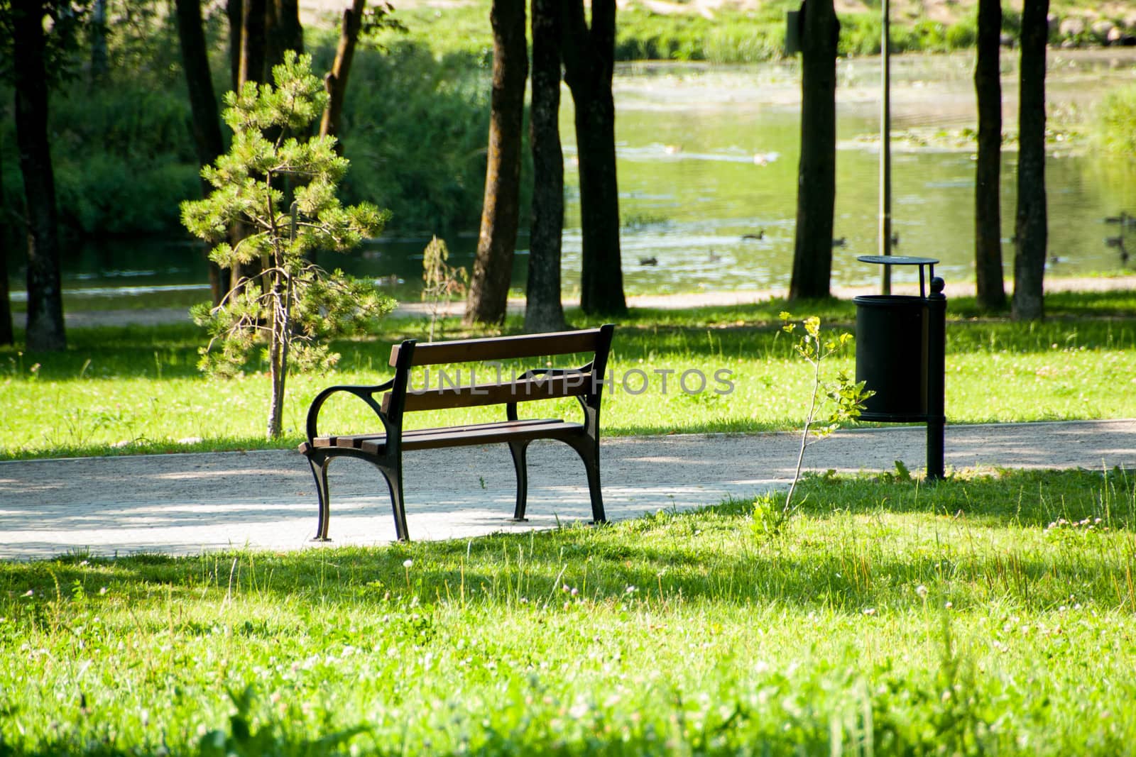 Stylish bench in summer park by alexx60