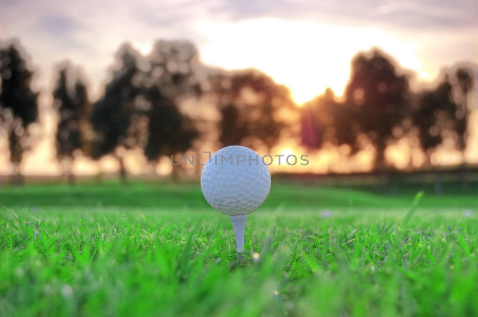 Golf game. Golf balls in grass.