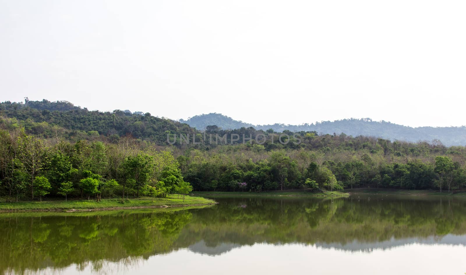 Landscape with a silent lake in forest