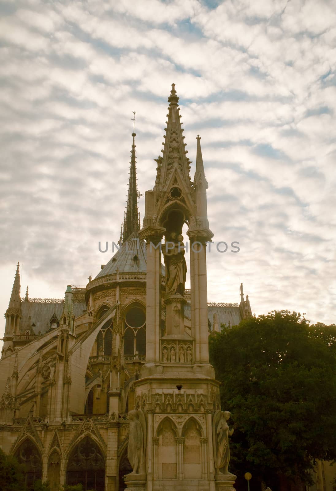 Notre Dame Cathedral, architectural details , Paris . by LarisaP