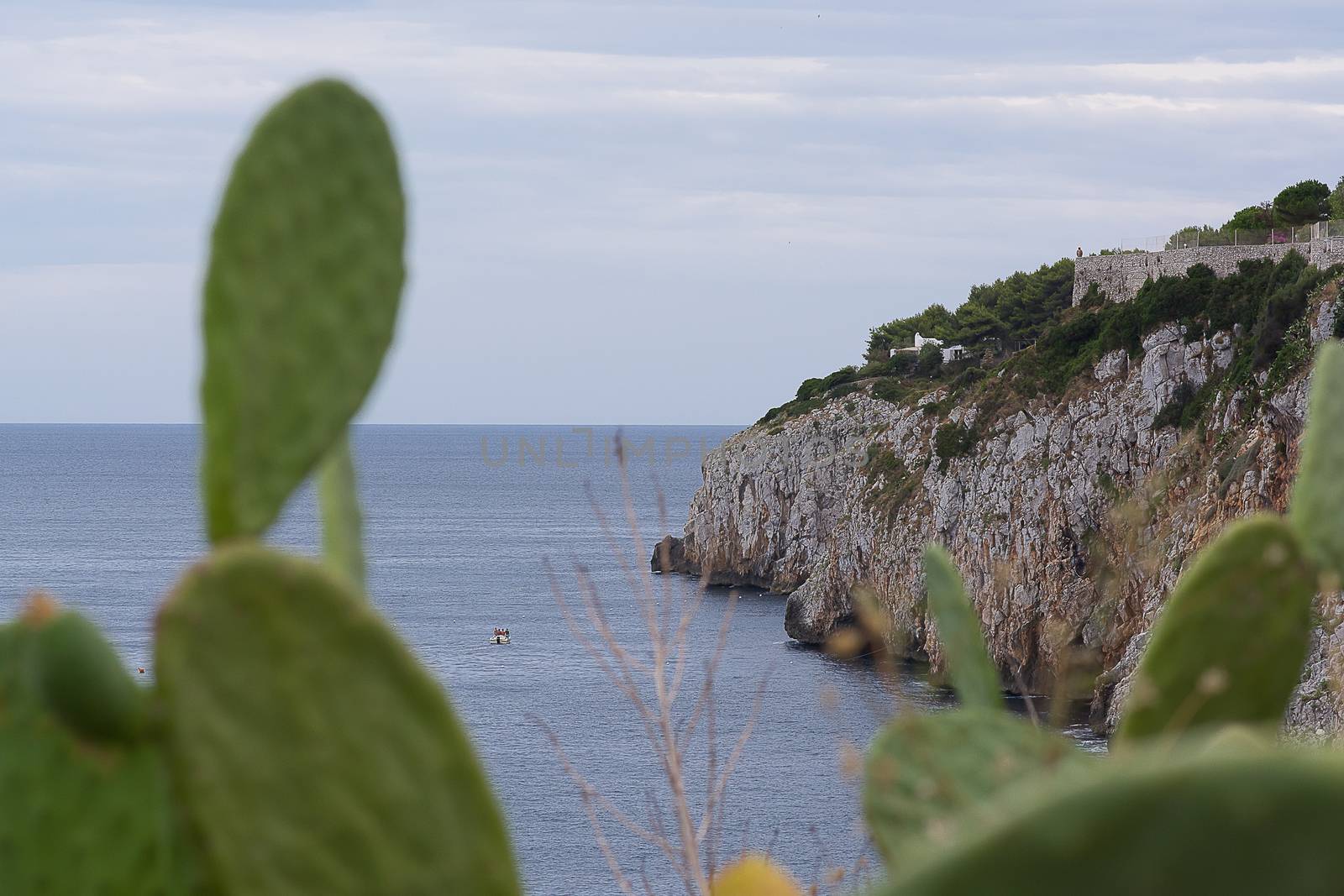 View of the coast by cedicocinovo