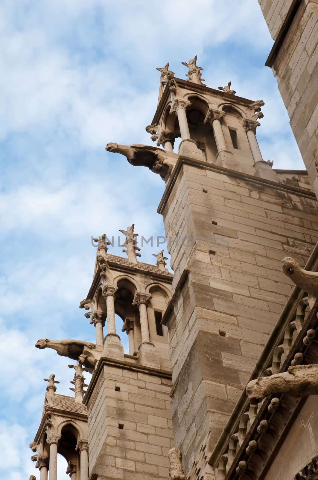 Notre Dame Cathedral, architectural details , Paris . by LarisaP