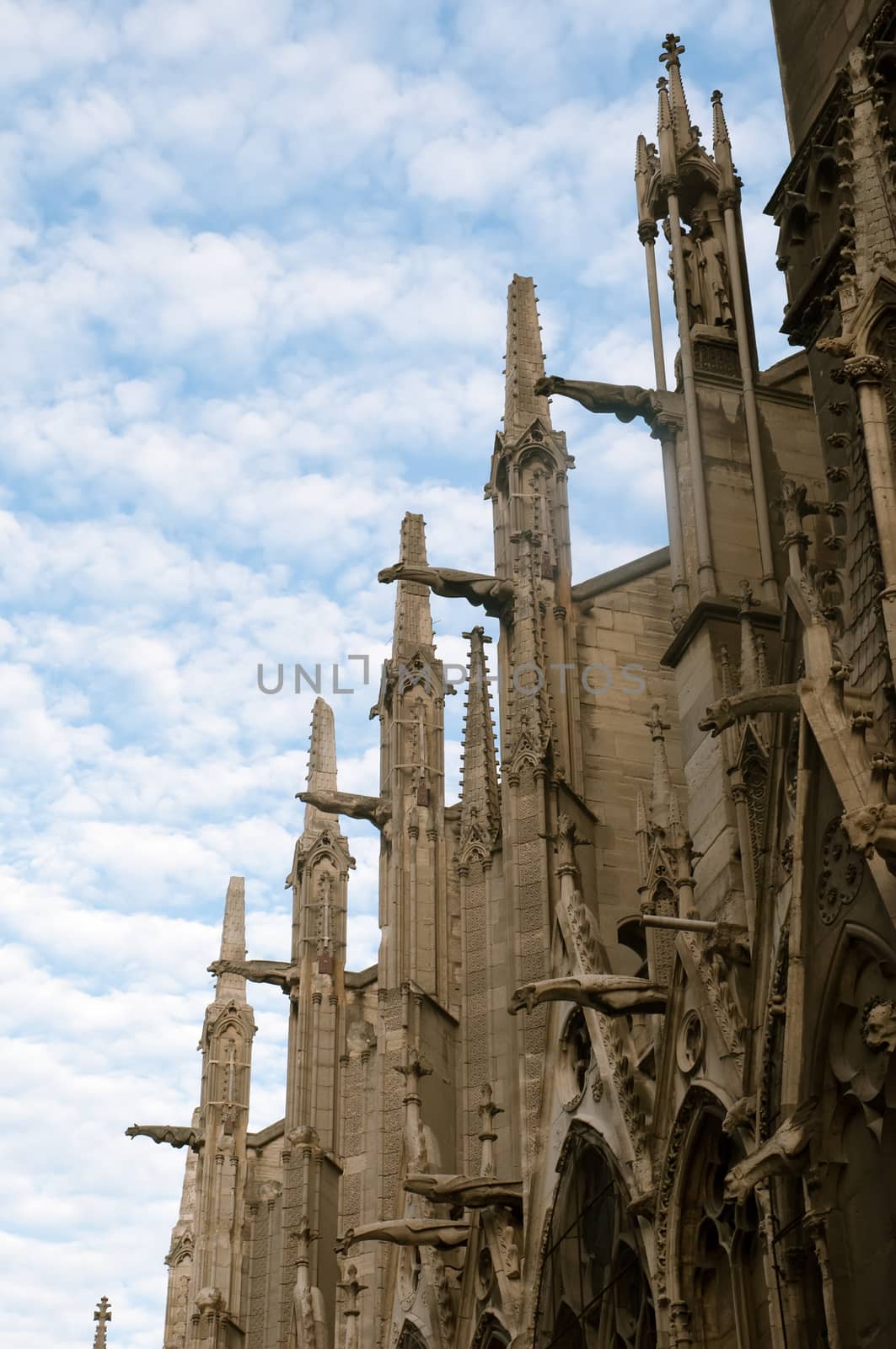 Notre Dame Cathedral, architectural details , Paris . by LarisaP
