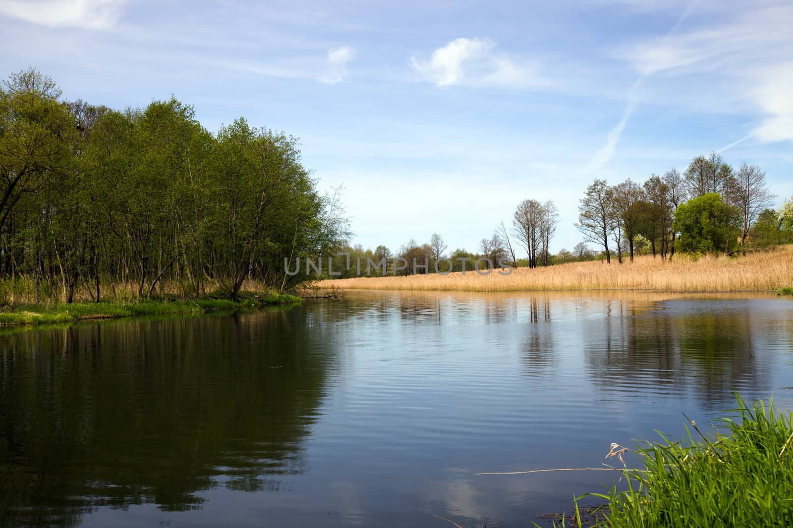 the small lake photographed in a spring season