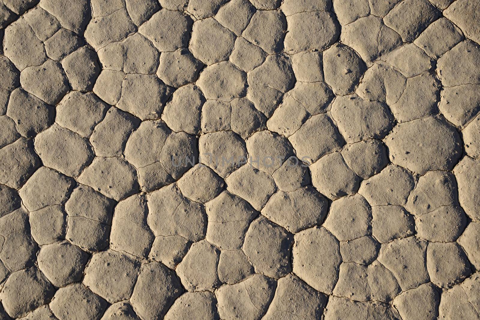 dry mud crack in racetrack playa in death valley national park